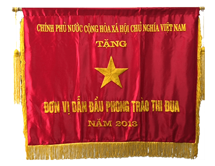 Emulation Flag of  Governance