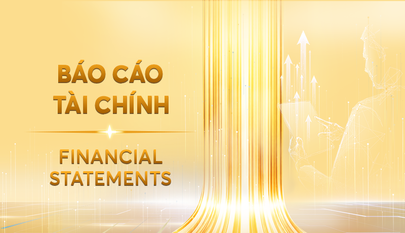 BÁO CÁO TÀI CHÍNH