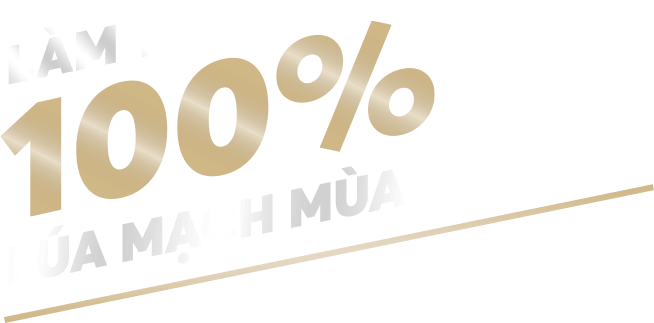 làm từ 100% lúa mạch mùa xuân